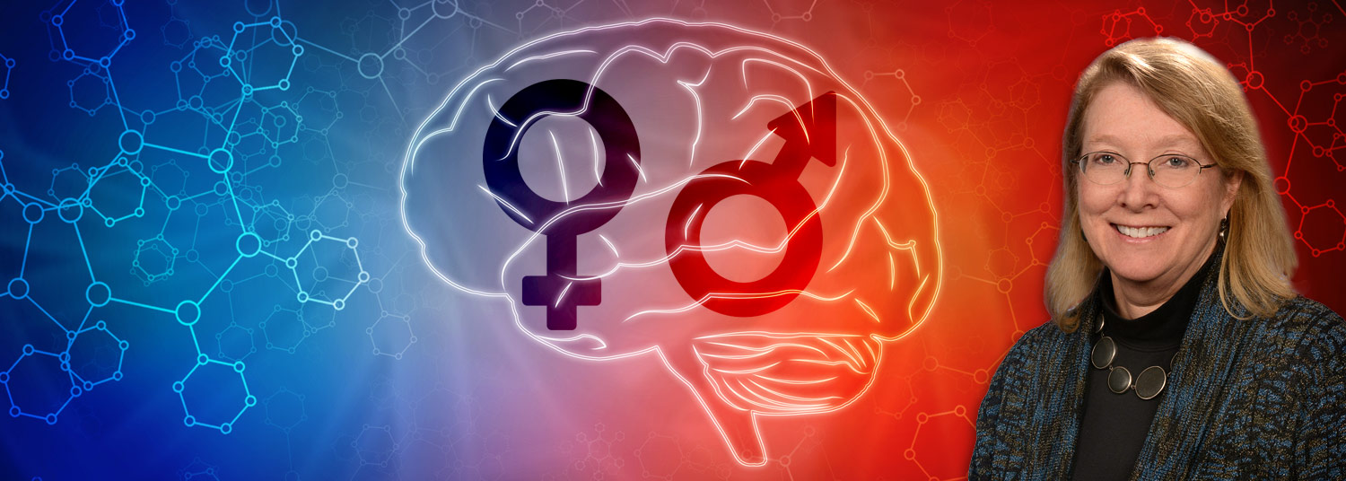 Female Male Brain Banner