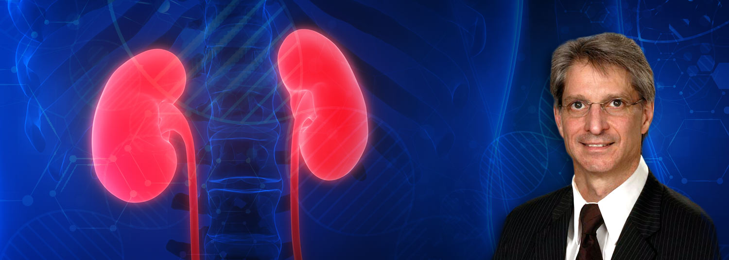 Bromberg Kidney Banner