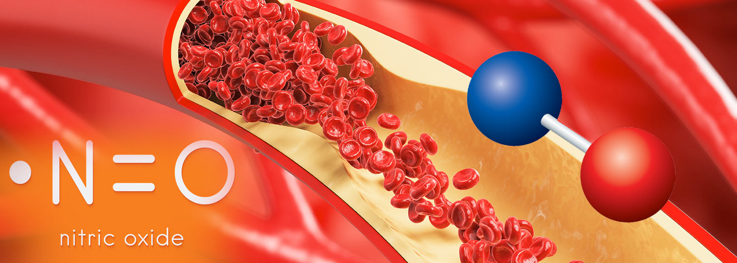 Nitric-Oxide-Banner