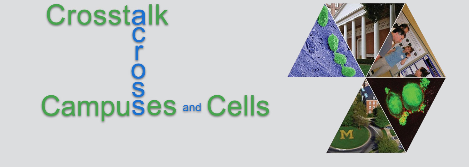 Crosstalk Across Campuses and Across Cells