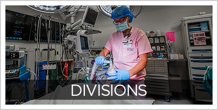 Divisions-Anesthesiology-Button