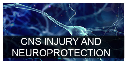 CNS Injury Neuroprotection