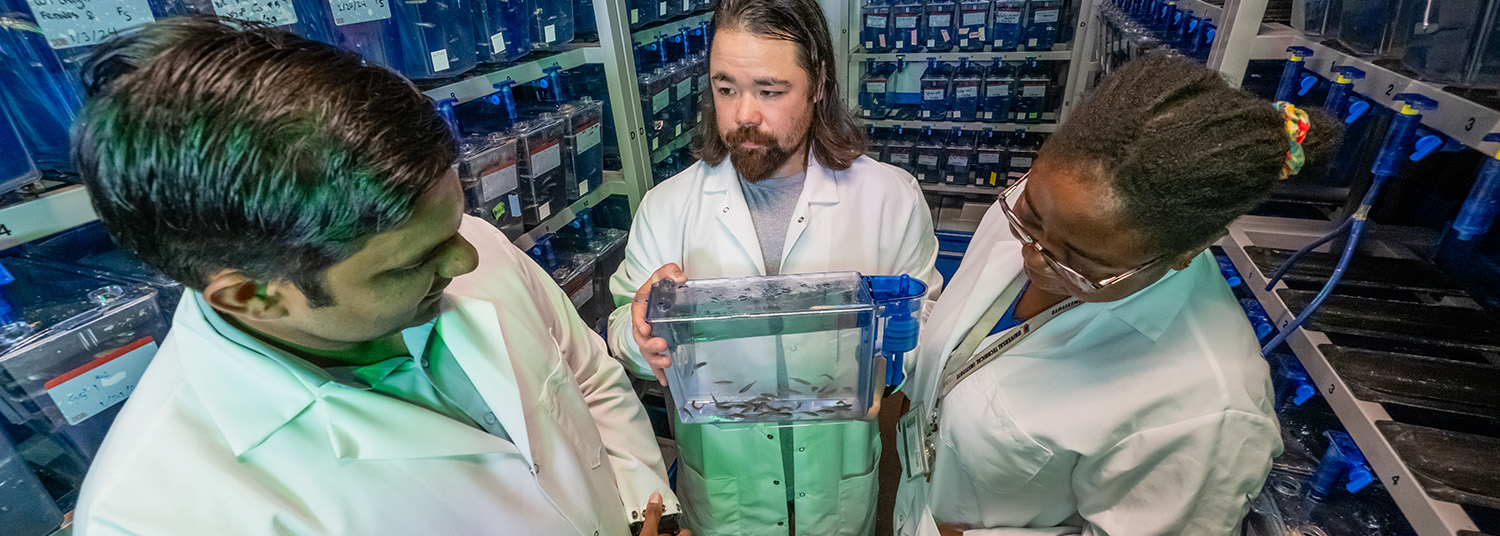 Lab group observing zebrafish tank