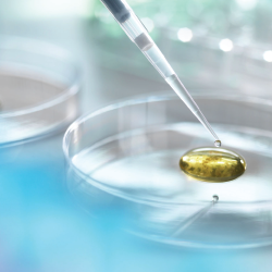 A pipette dropping liquid into Petri dish