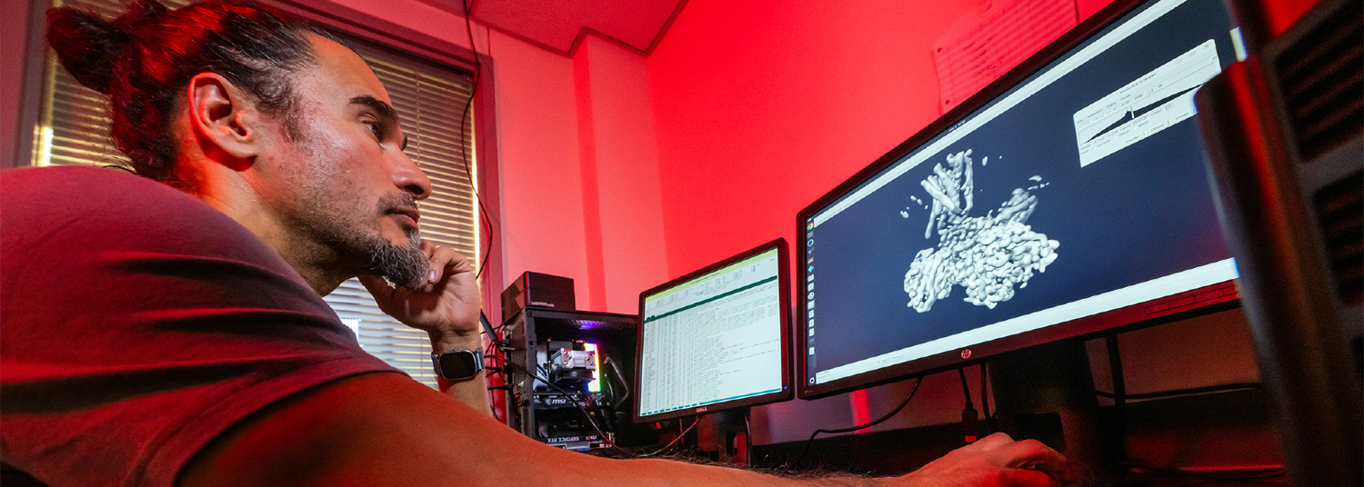 Researcher inspecting a protein structure on a computer screen