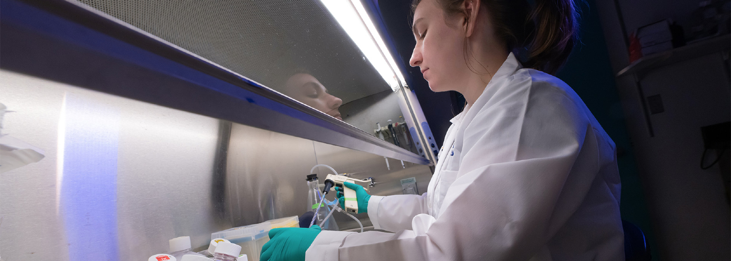 Student preparing cell stains