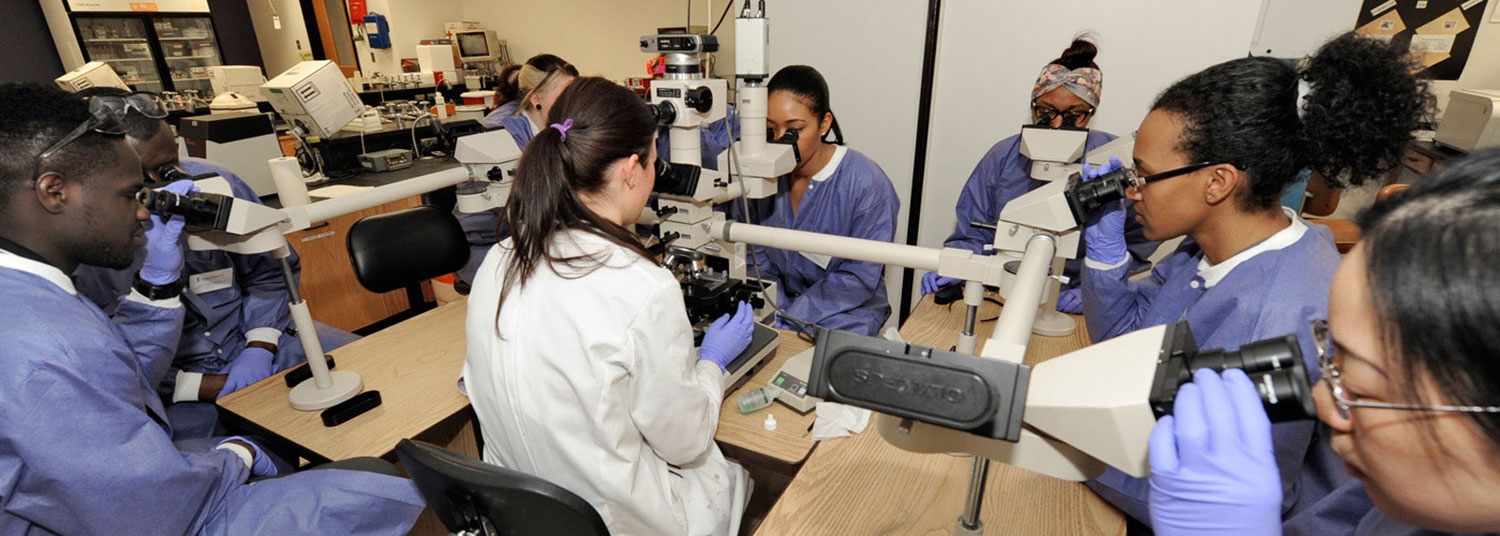 Students in lab