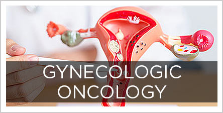 Gynecoloic-Button