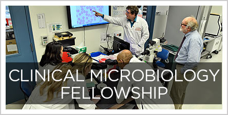 Clinical-Microbiology-Fellowship-Button2