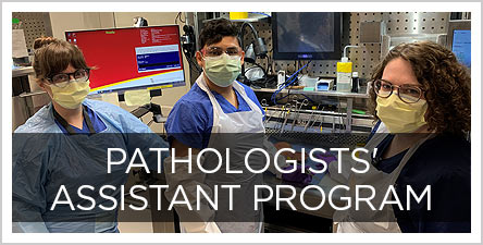 Pathologists-Assistants-Buttons2