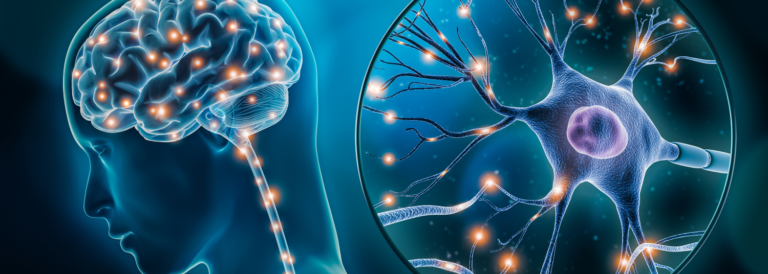 Division of Biological Psychiatry Research