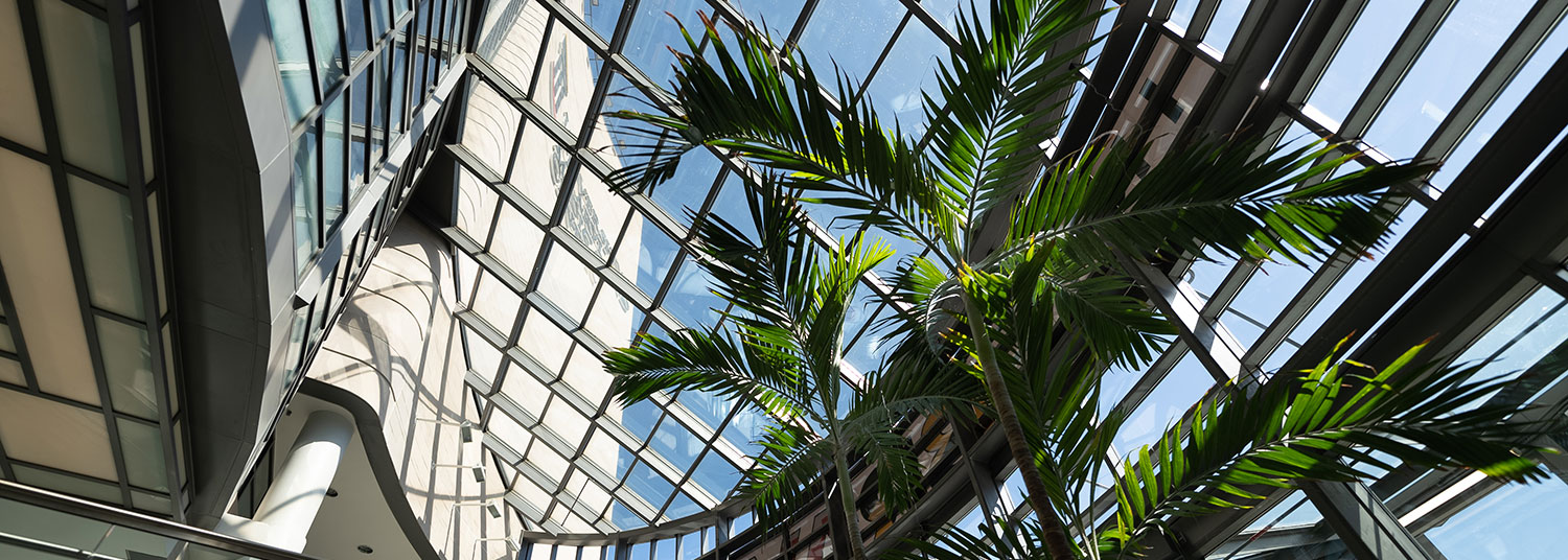 View of sky window from UMMC