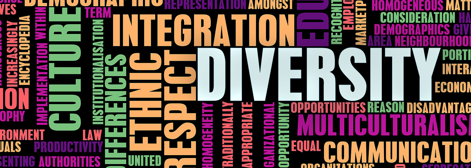 Diversity Baner