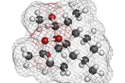 Artemisenin Resistance