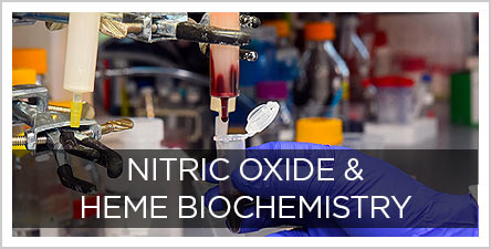 Nitric-Oxide-and-Heme-Biochemistry-button