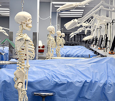 New Anatomy Lab