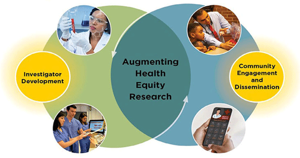 Augmenting Health Equity Research through Investigator Development and Community Engagement and Dissemination