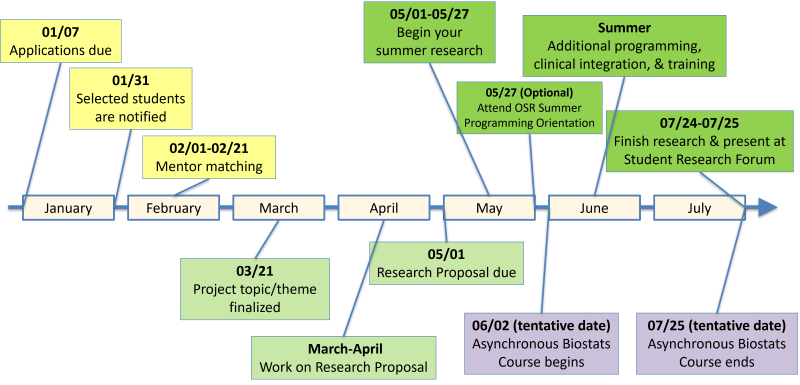 M4I Spring-Summer 2025 Milestones