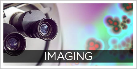 Imaging-Button