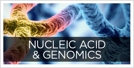 Nucleic-Acid-Button