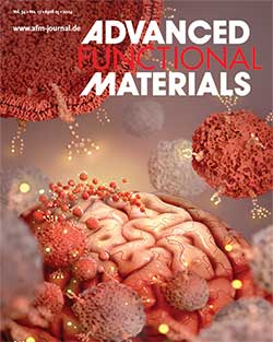 Cover of Advanced Functional Materials magazine